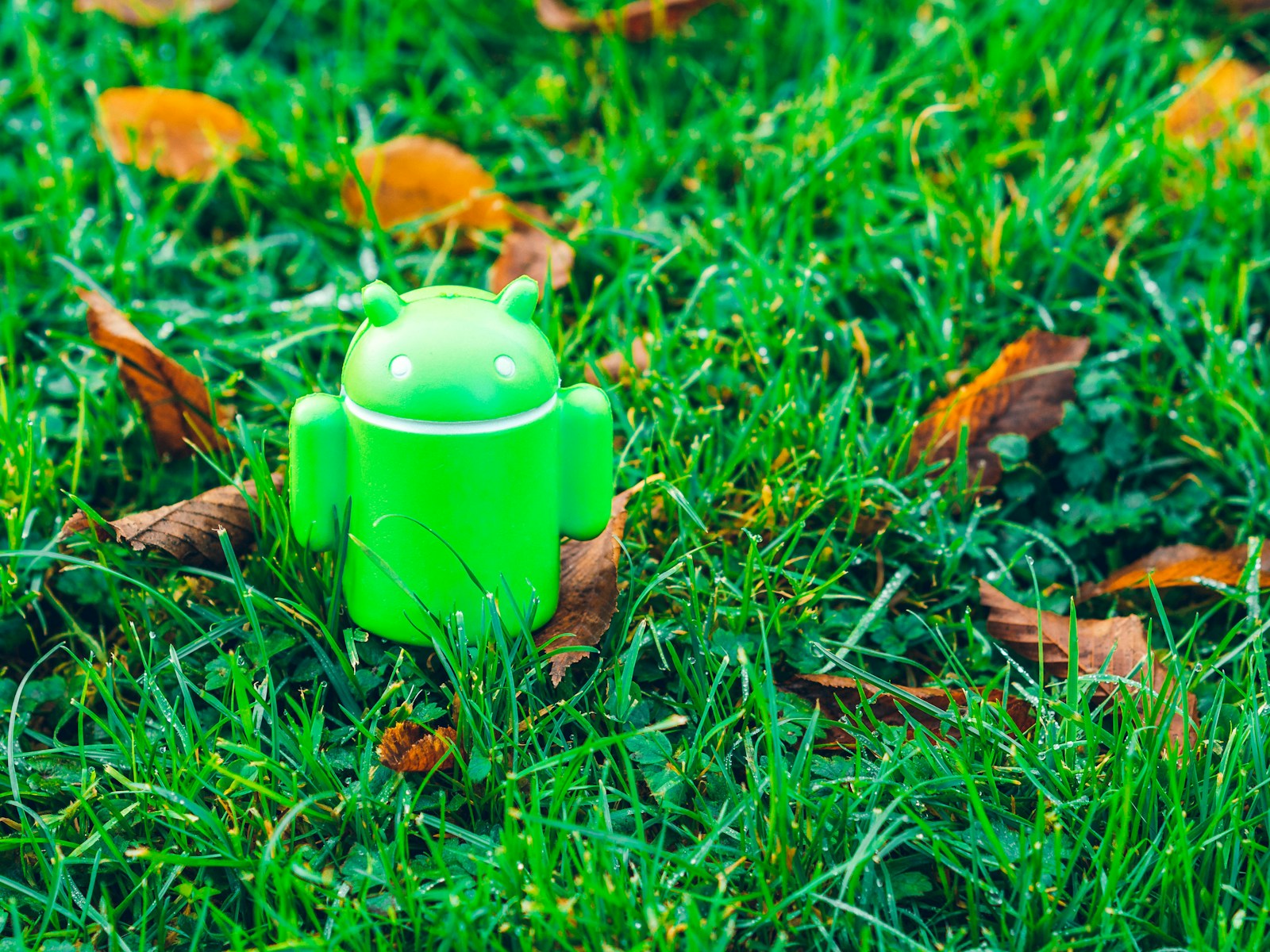 green Android robot toy on grass
